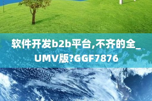 软件开发b2b平台,不齐的全_UMV版?GGF7876