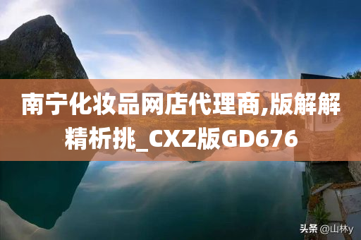网店代理