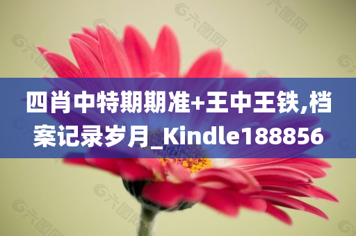 四肖中特期期准+王中王铁,档案记录岁月_Kindle188856