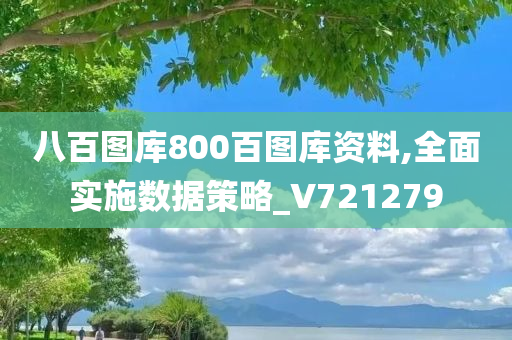 八百图库800百图库资料,全面实施数据策略_V721279