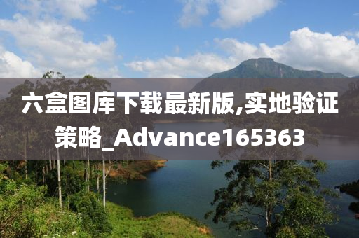 六盒图库下载最新版,实地验证策略_Advance165363
