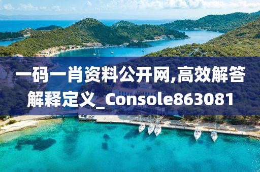 一码一肖资料公开网,高效解答解释定义_Console863081