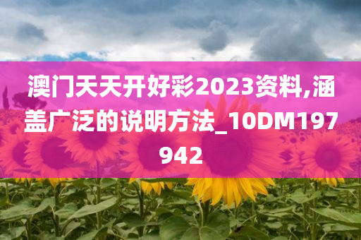 澳门天天开好彩2023资料,涵盖广泛的说明方法_10DM197942
