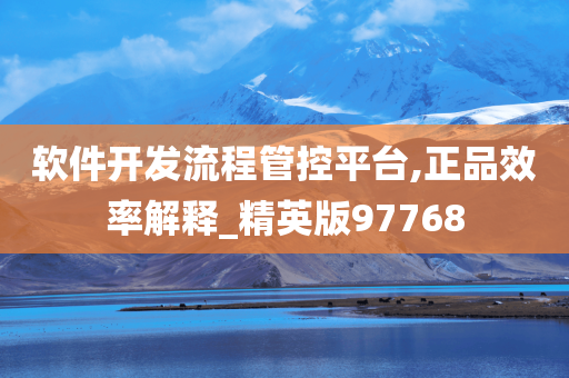 软件开发流程管控平台,正品效率解释_精英版97768