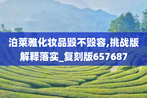 泊莱雅化妆品毁不毁容,挑战版解释落实_复刻版657687