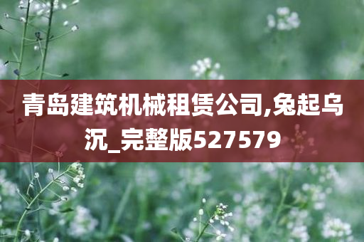 青岛建筑机械租赁公司,兔起乌沉_完整版527579
