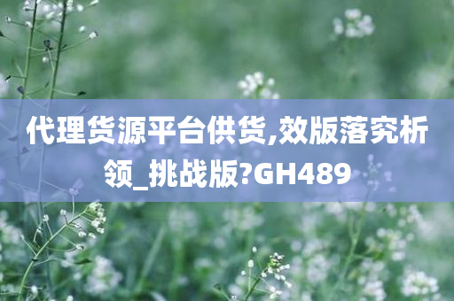 代理货源平台供货,效版落究析领_挑战版?GH489