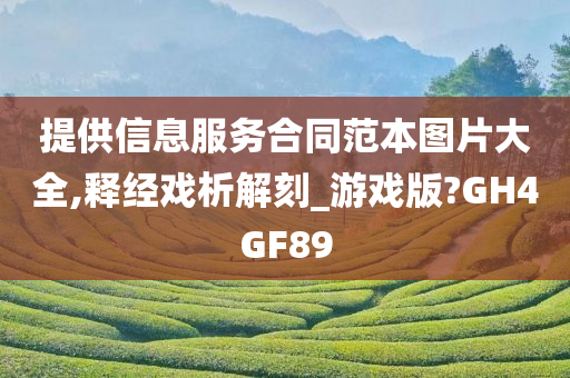 提供信息服务合同范本图片大全,释经戏析解刻_游戏版?GH4GF89