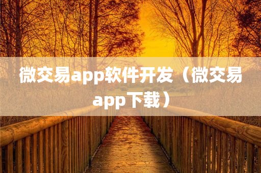 微交易app软件开发（微交易app下载）