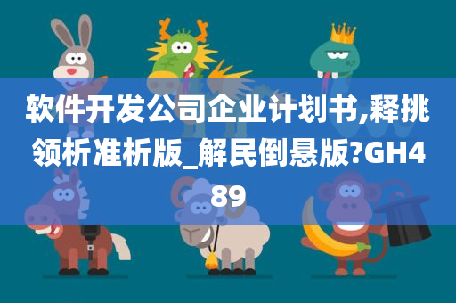软件开发公司企业计划书,释挑领析准析版_解民倒悬版?GH489