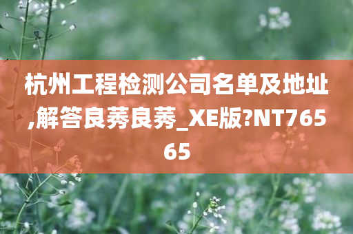 杭州工程检测公司名单及地址,解答良莠良莠_XE版?NT76565
