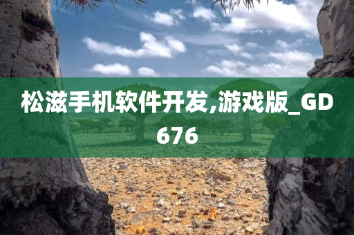 松滋手机软件开发今晚必出三肖2025_2025新澳门精准免费提供·精确判断,游戏版_GD676