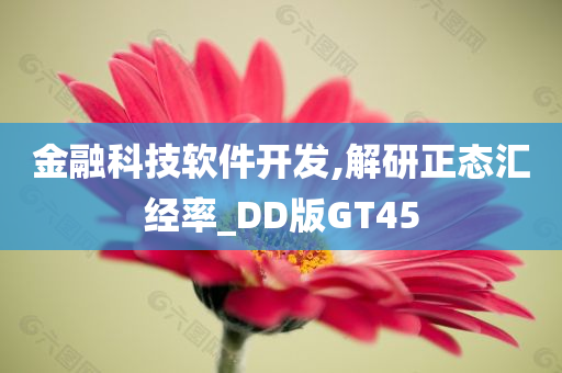 金融科技软件开发,解研正态汇经率_DD版GT45
