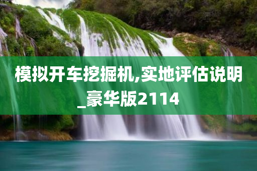 模拟开车挖掘机,实地评估说明_豪华版2114