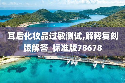 耳后化妆品过敏测试,解释复刻版解答_标准版78678