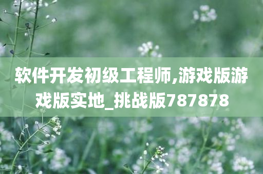 软件开发 第26页