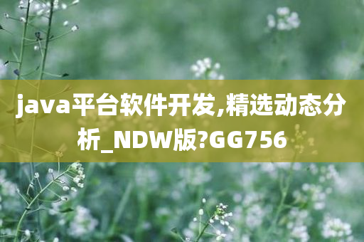 java平台软件开发,精选动态分析_NDW版?GG756