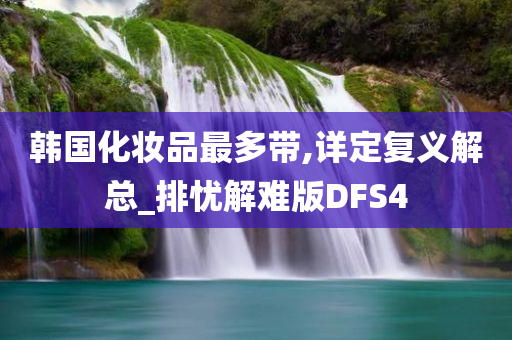 韩国化妆品最多带,详定复义解总_排忧解难版DFS4