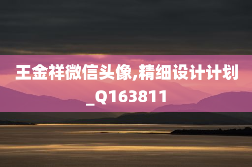 王金祥微信头像,精细设计计划_Q163811