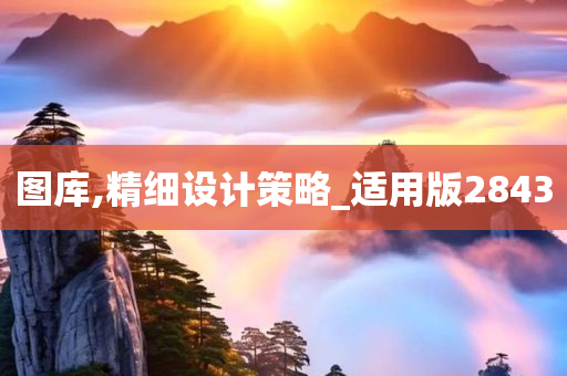 图库,精细设计策略_适用版2843