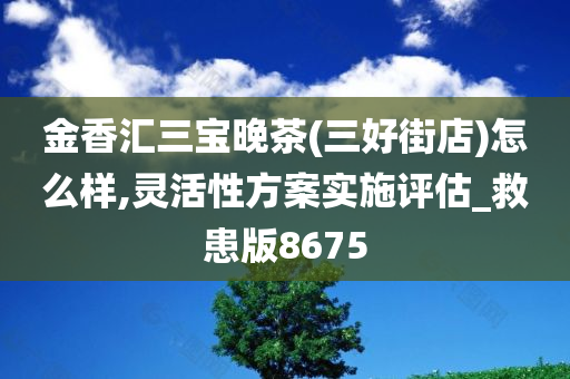 金香汇三宝晚茶(三好街店)怎么样,灵活性方案实施评估_救患版8675