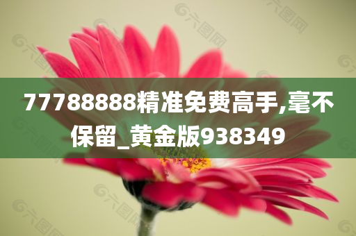 77788888精准免费高手,毫不保留_黄金版938349