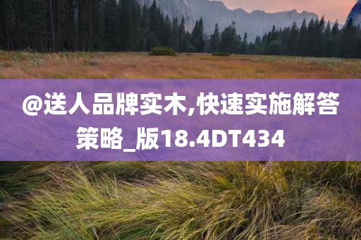 @送人品牌实木,快速实施解答策略_版18.4DT434