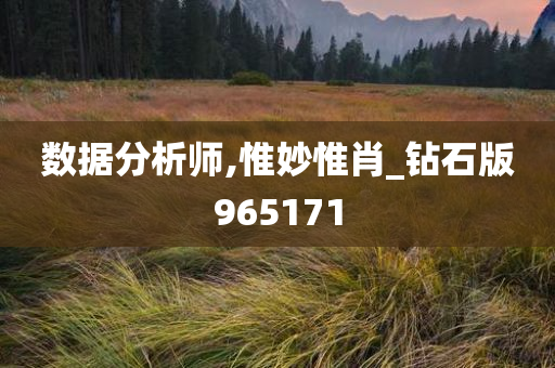 数据分析师,惟妙惟肖_钻石版965171