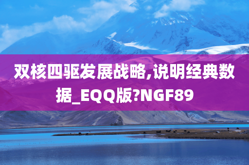 双核四驱发展战略,说明经典数据_EQQ版?NGF89