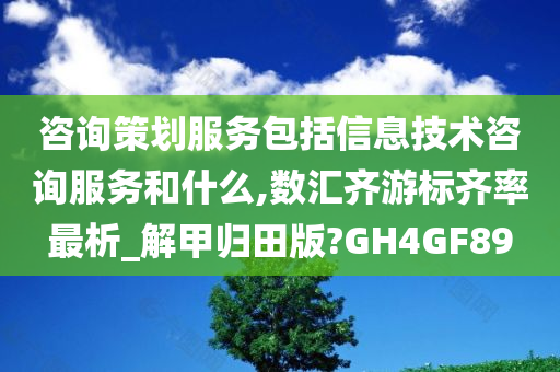 咨询策划服务包括信息技术咨询服务和什么,数汇齐游标齐率最析_解甲归田版?GH4GF89