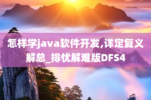 怎样学java软件开发,详定复义解总_排忧解难版DFS4