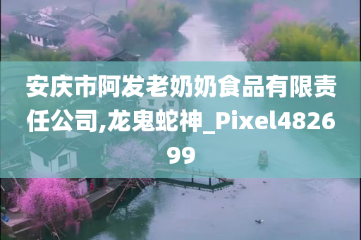 安庆市阿发老奶奶食品有限责任公司,龙鬼蛇神_Pixel482699
