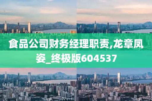 食品公司财务经理职责,龙章凤姿_终极版604537