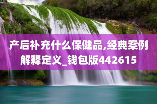 产后补充什么保健品,经典案例解释定义_钱包版442615