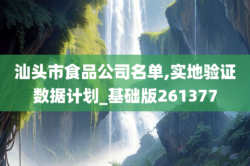 汕头市食品公司名单,实地验证数据计划_基础版261377