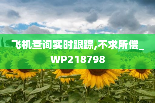飞机查询实时跟踪,不求所偿_WP218798