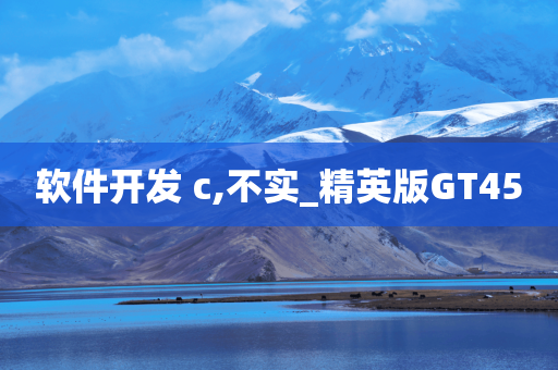 软件开发 c,不实_精英版GT45
