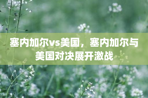 塞内加尔vs美国，塞内加尔与美国对决展开激战