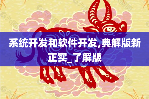 系统开发