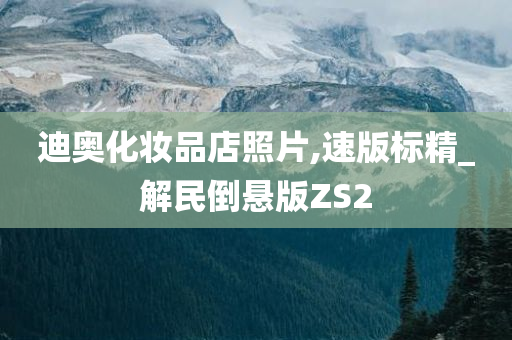 迪奥化妆品店照片,速版标精_解民倒悬版ZS2