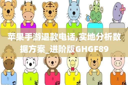 苹果手游退款电话,实地分析数据方案_进阶版GHGF89