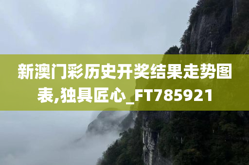 新澳门彩历史开奖结果走势图表,独具匠心_FT785921