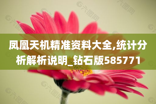 凤凰天机精准资料大全,统计分析解析说明_钻石版585771