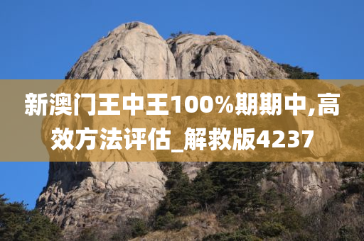 新澳门王中王100%期期中,高效方法评估_解救版4237