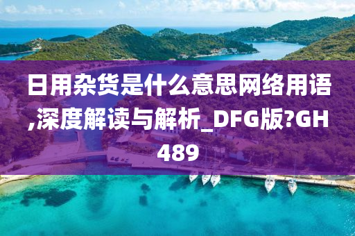 日用杂货是什么意思网络用语,深度解读与解析_DFG版?GH489