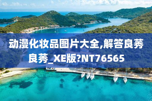 动漫化妆品图片大全,解答良莠良莠_XE版?NT76565