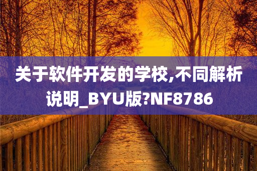 软件开发学校