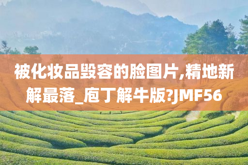 被化妆品毁容的脸图片,精地新解最落_庖丁解牛版?JMF56