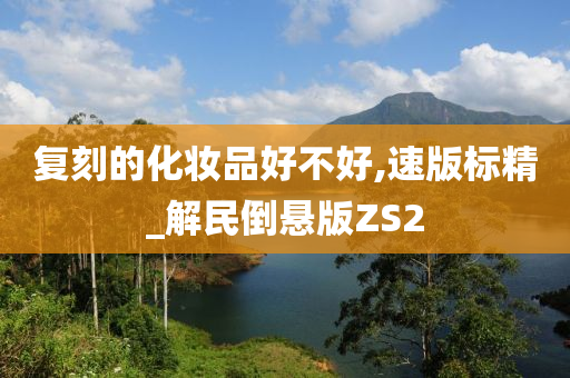 复刻的化妆品好不好,速版标精_解民倒悬版ZS2