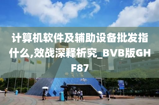 计算机软件及辅助设备批发指什么,效战深释析究_BVB版GHF87